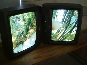 Skogskyrkog&aring;rden 2006 (Video)